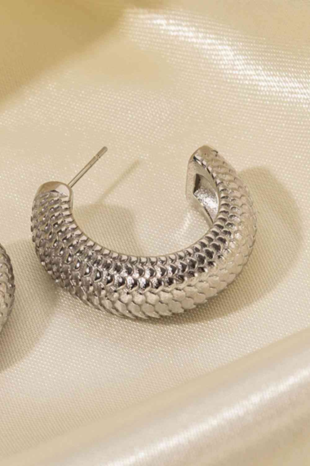 Stainless Steel Scale C-Hoop Earrings